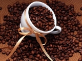 Nguồn gốc của cà phê
