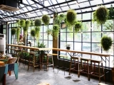 Mảng xanh trong trang trí và thiết kế quán cafe