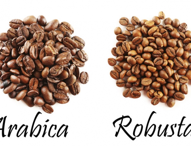 Những lưu ý khi lựa chọn nguyên vật liệu cho quán cafe