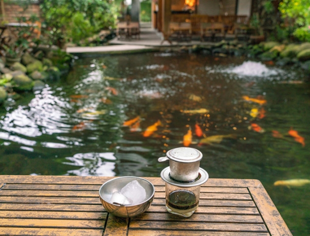 Có nên mở quán cafe cá Koi