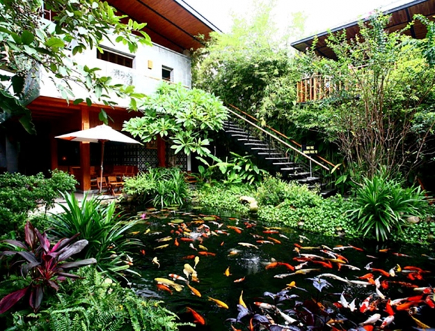 Gợi ý thiết kế quán cafe cá Koi độc đáo
